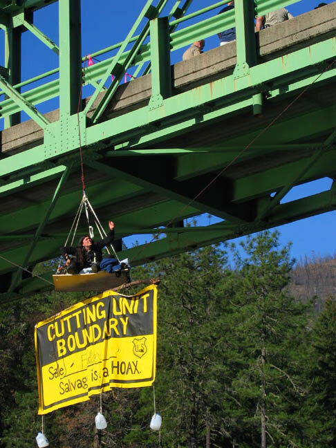 Sisters of the Revolution Only Companion 