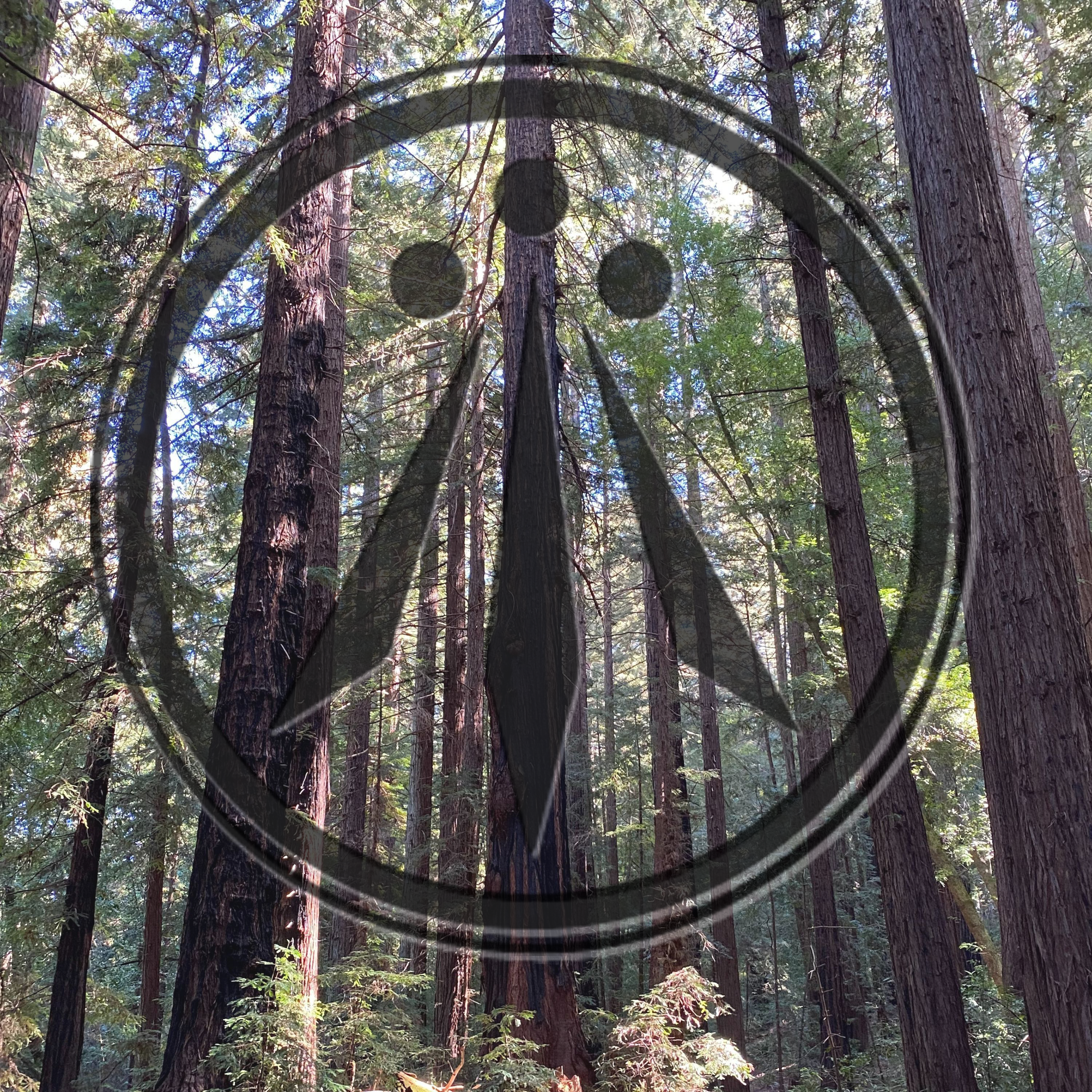 ARWN - Always Enough (single)