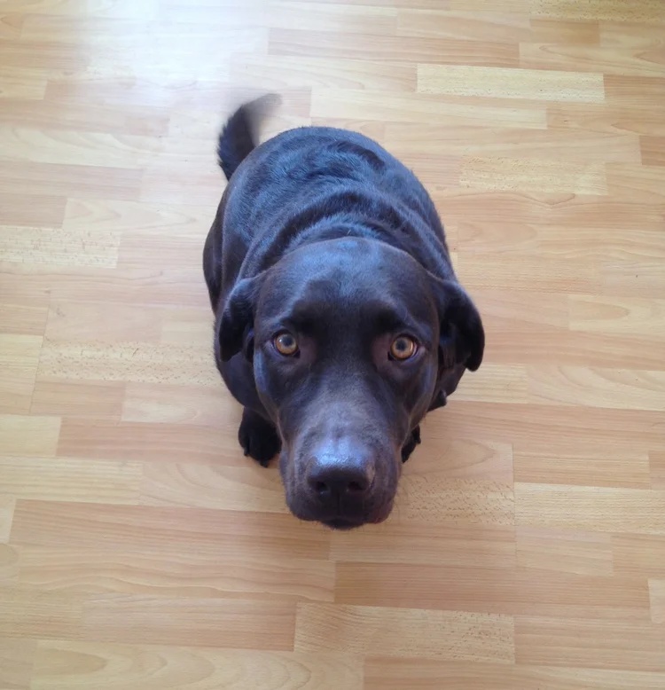 A Week with Oshmanovi, Day #6