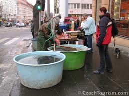 Getchyer carp. 