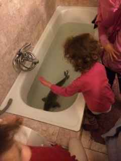 Our pastor's bathtub, carp, and kids. 