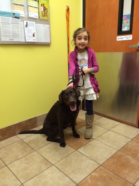 Hannah, the vet/rock star, helping me at the vet clinic today, as we prepare to take Piper overseas. 