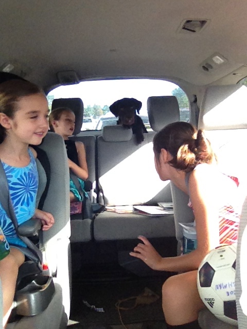 Piper loves riding in the swagger wagon. 
