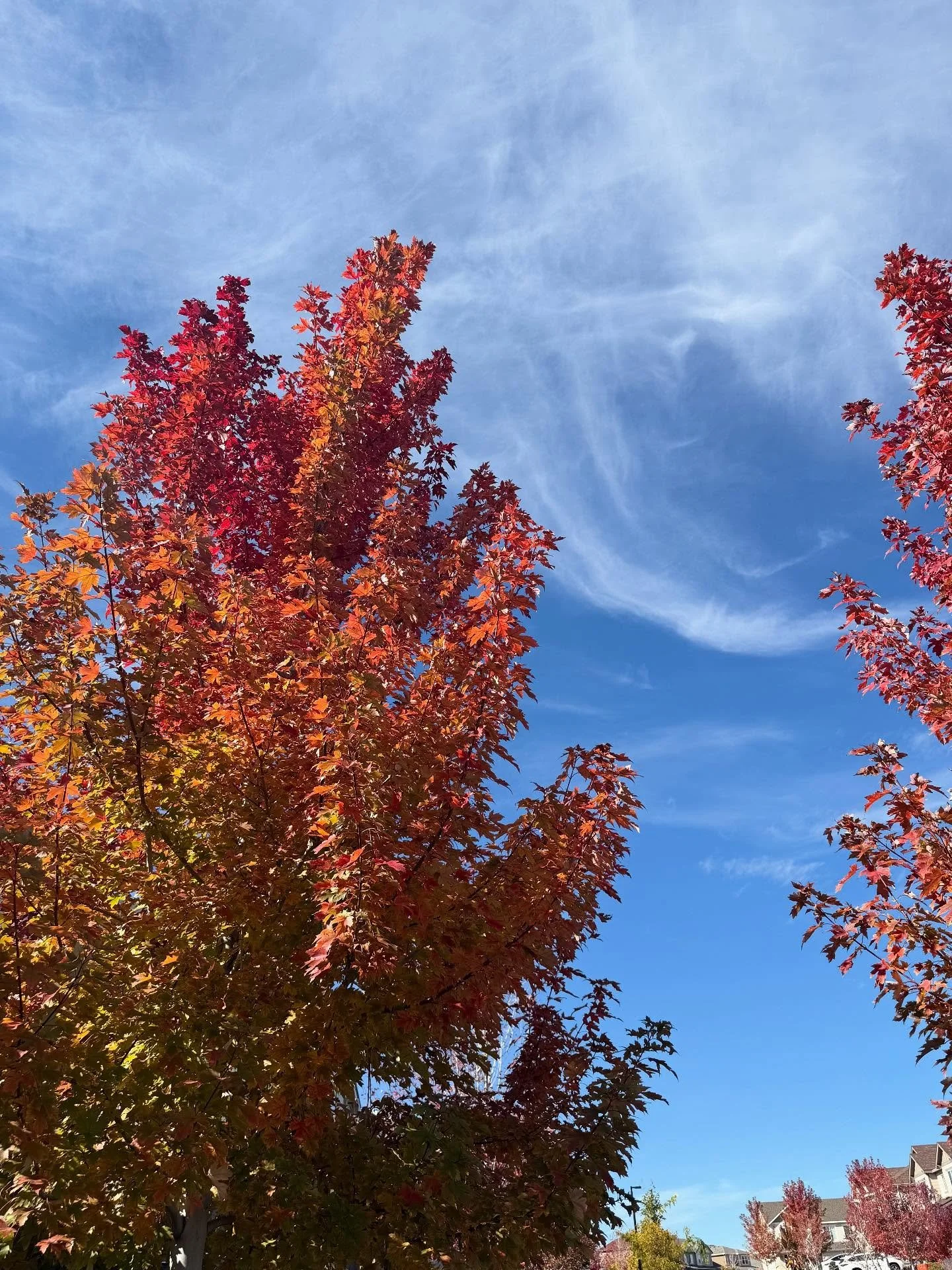 October moments.  A beautiful month that reminds us that life is brief. 🍂 Lord, teach me to number my days that I  may get a heart of wisdom.&rdquo; 🍁 Psalm 90:12