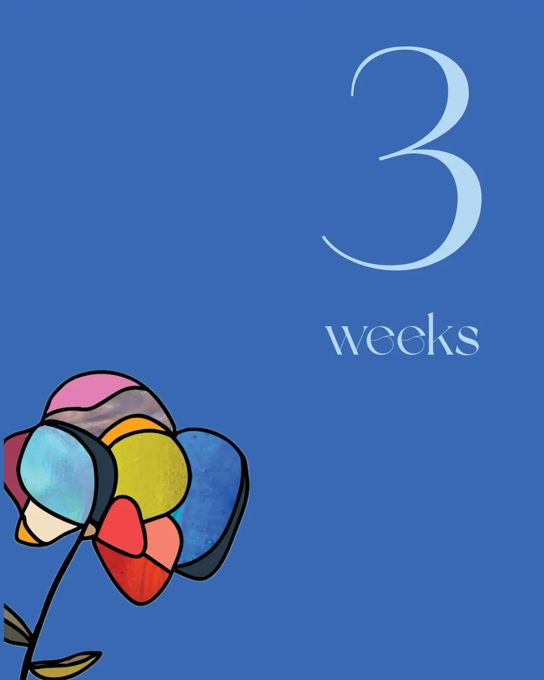 Women have always been essential to the kingdom of God. Eve was necessary and created Very Good. And women have been integral to God&rsquo;s story ever since. I cannot wait to invite you into the whole storyline of the Bible and what it teaches us ab