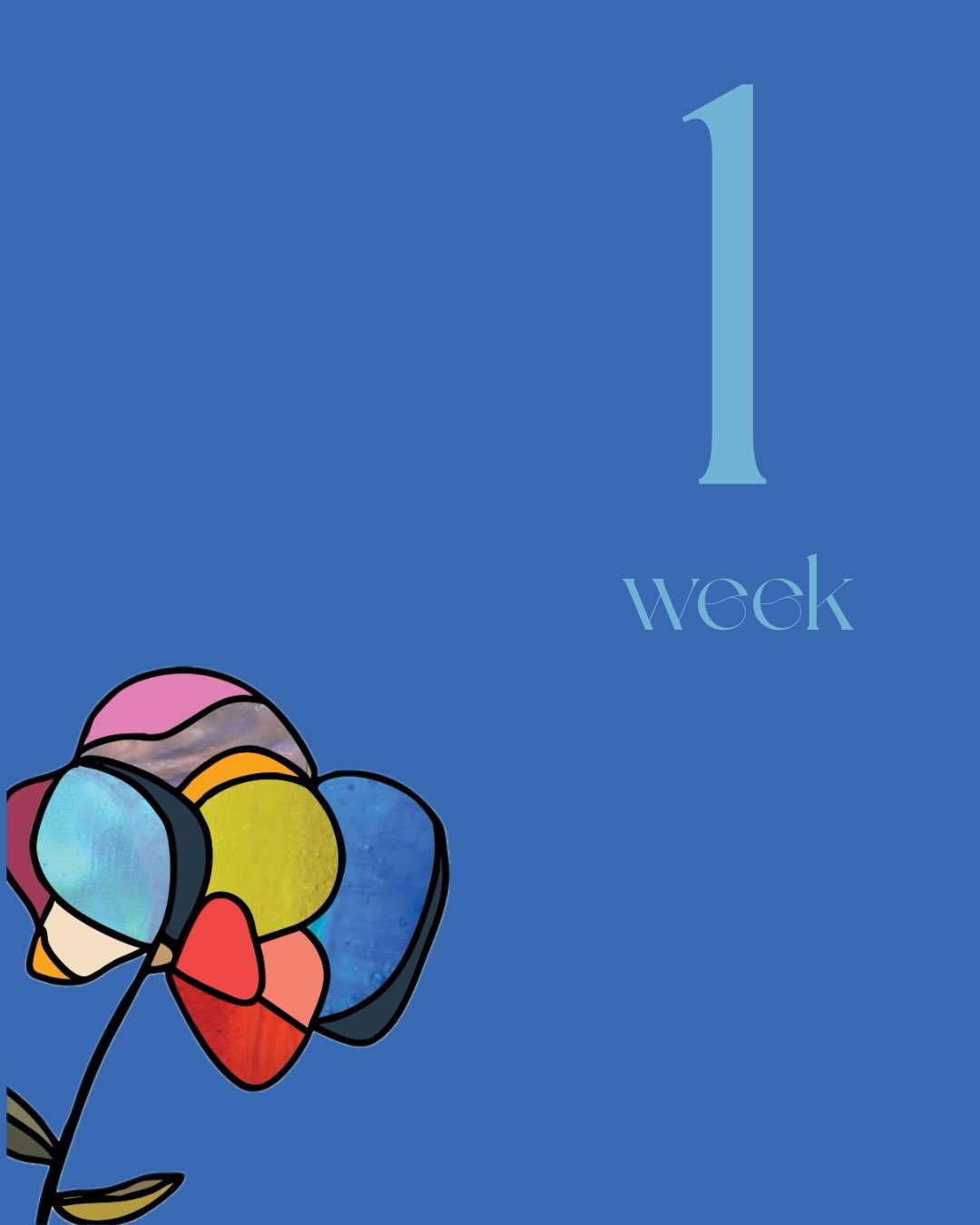 ONE WEEK! Swipe through to see just a sampling of the good news inside my new Bible study, Very Good: What the Bible Says About Being a Woman. I can hardly wait for you guys to see the whole thing. I so hope this study brings answers, healing, and jo