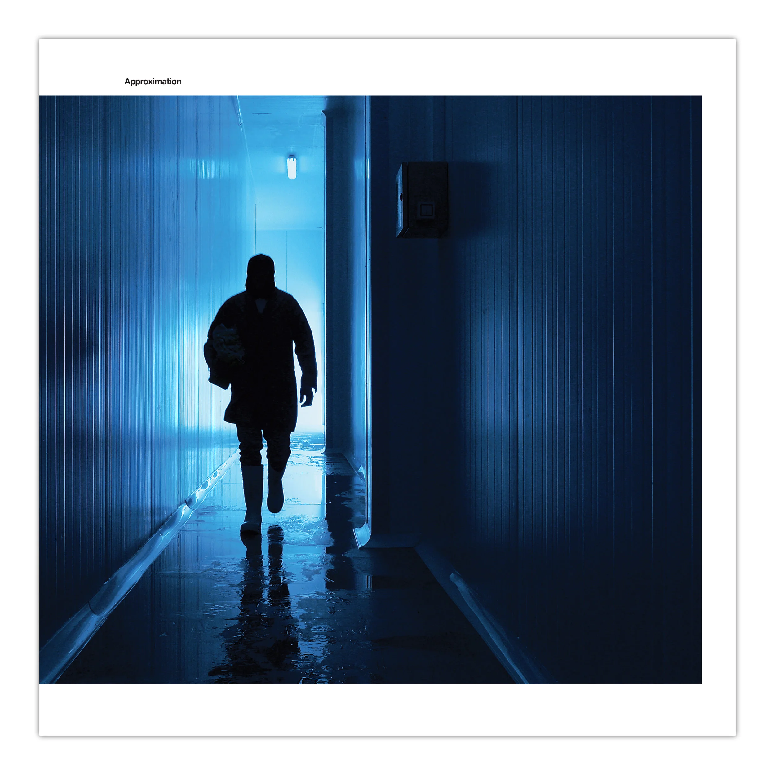 MarioPfeifer_Approximation-LP-1.jpg