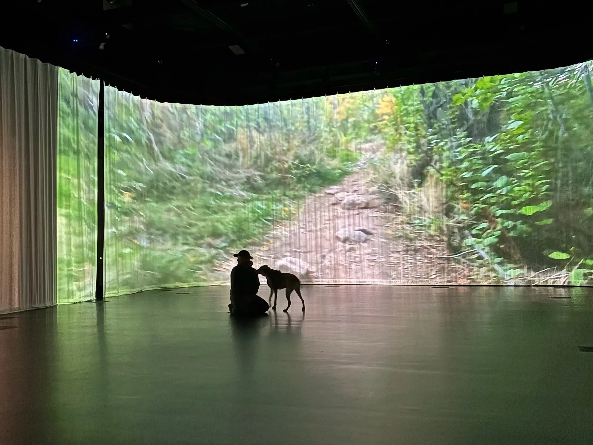 photo by Anna Pillot