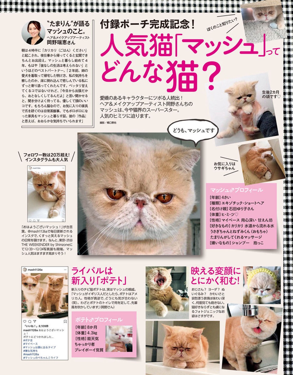 Maquia February 19 Li8htnin8 Magazine Stash