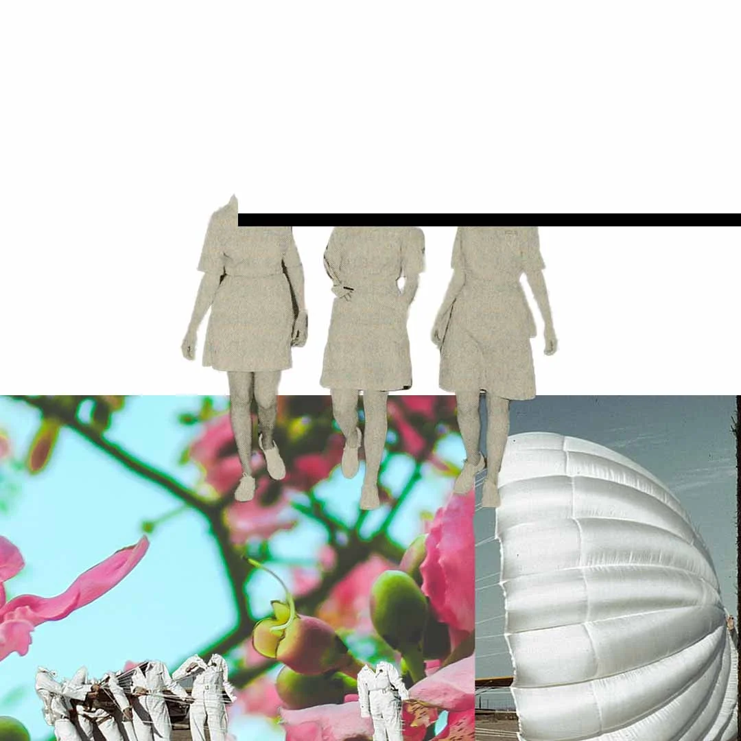 030519f.jpg