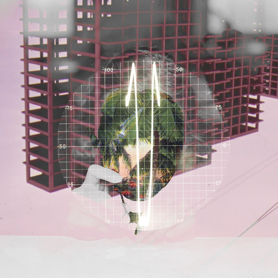 070818f.jpg