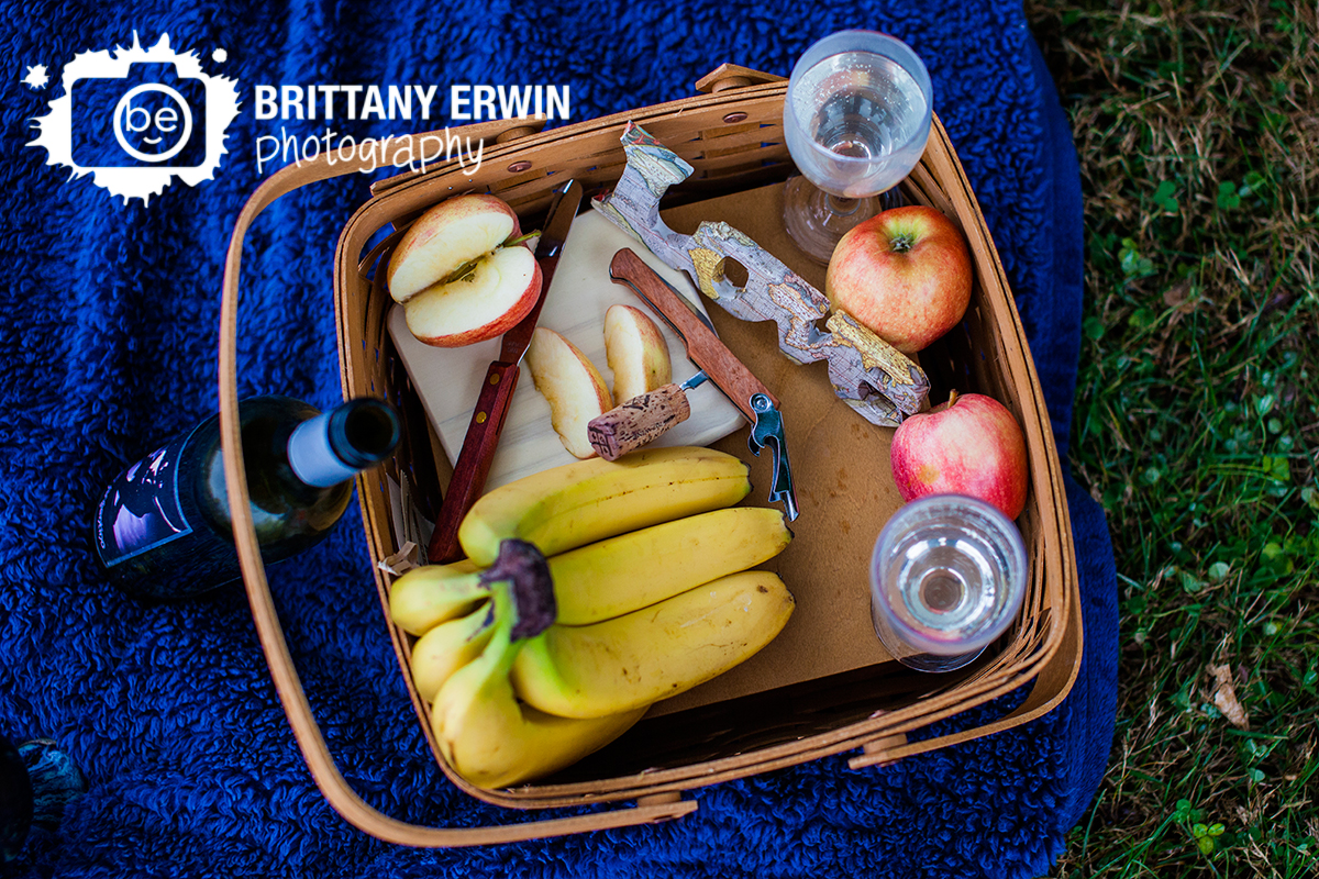 Indianapolis-elopement-photographer-picnic-after-ceremony-with-toasting-glasses.jpg