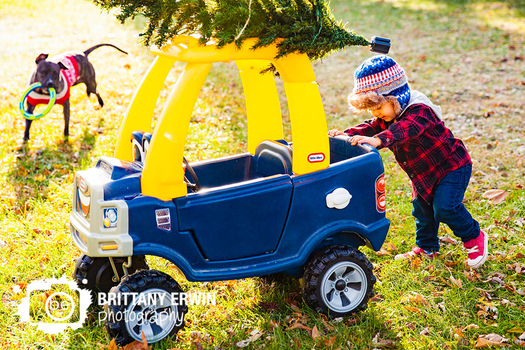 Speedway-christmas-card-boy-toddler-pushing-truck-photographer-dog-sweater.jpg