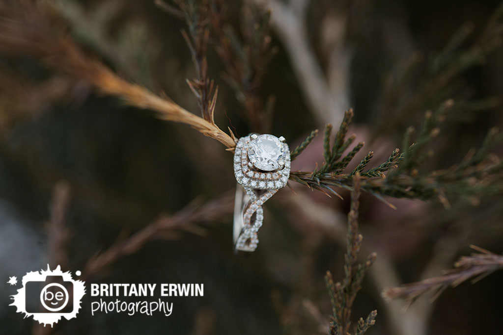 Indianapolis-engagement-portrait-photographer-ring-detail-in-fir-tree-cedar.jpg