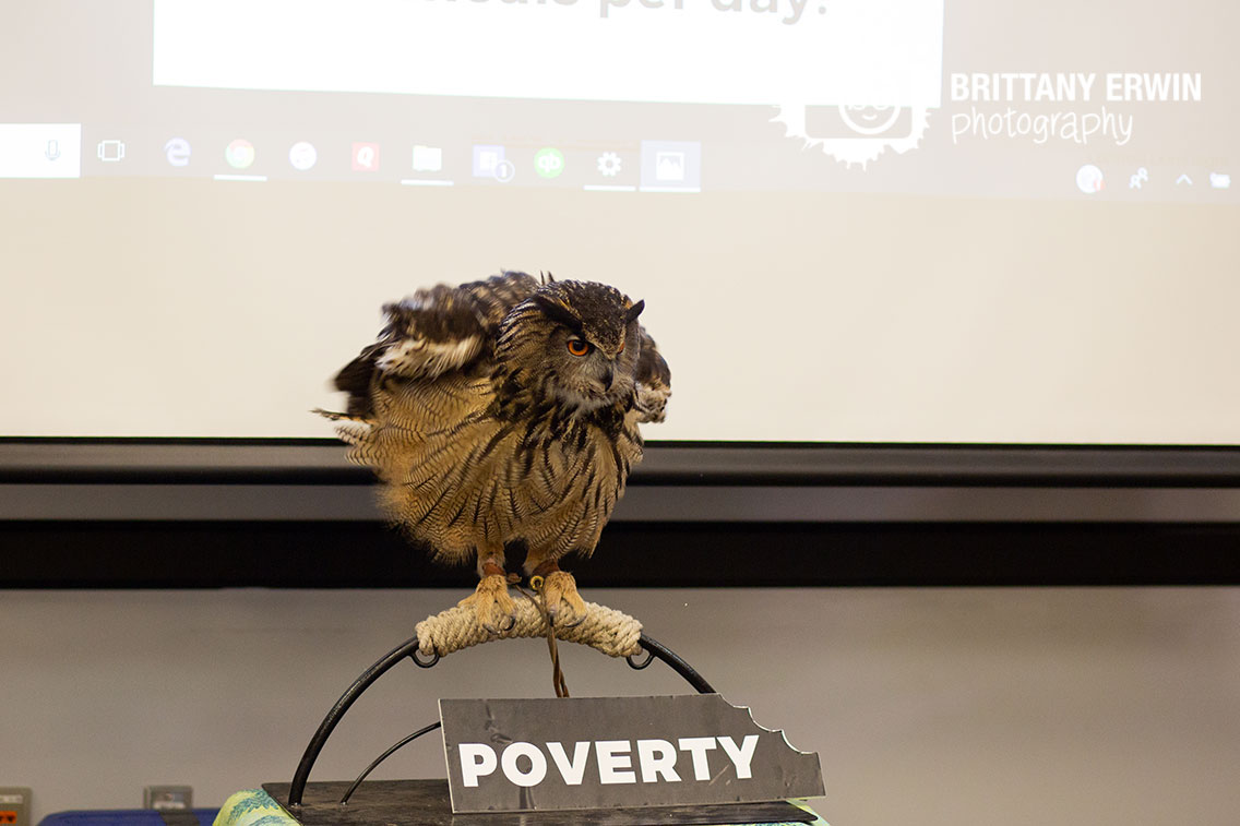 owl-from-Silly-Safari-take-a-bite-out-of-poverty.jpg