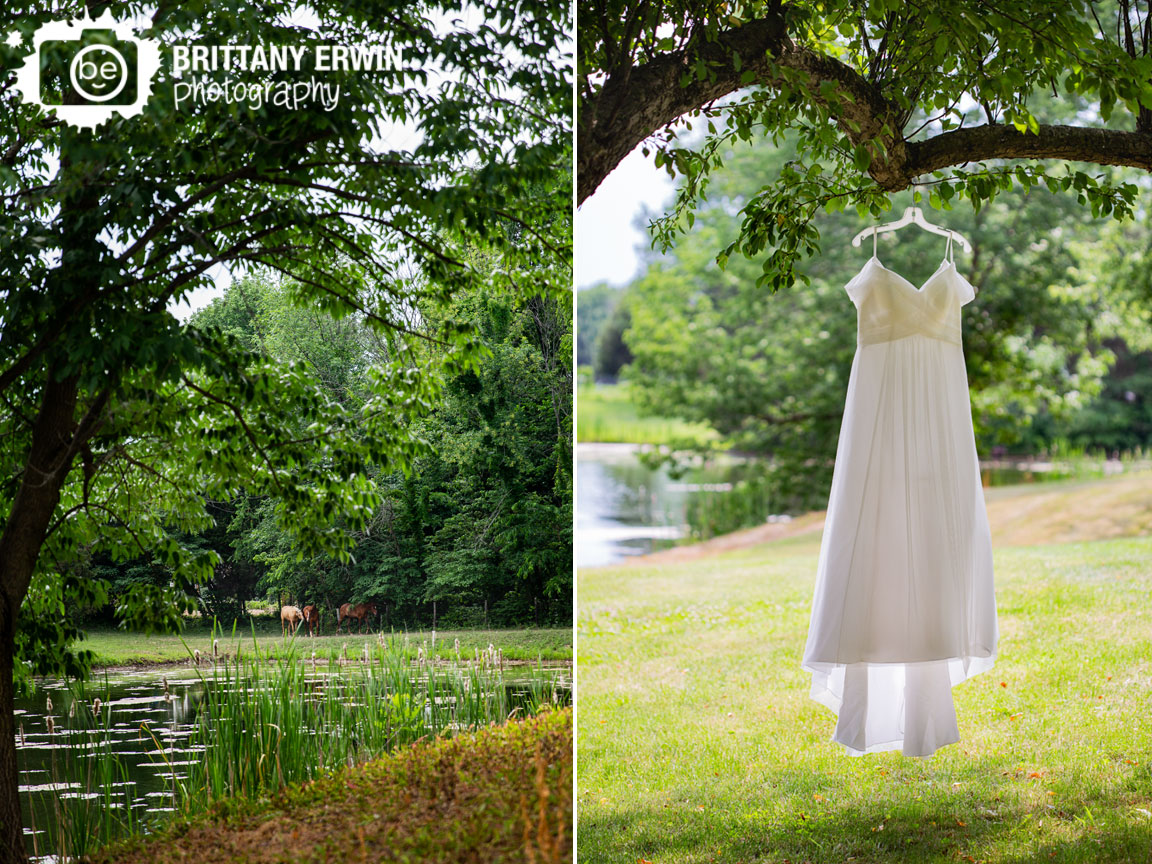 Indianapolis-horse-farm-wedding-photographer-gown-hanging-from-tree.jpg