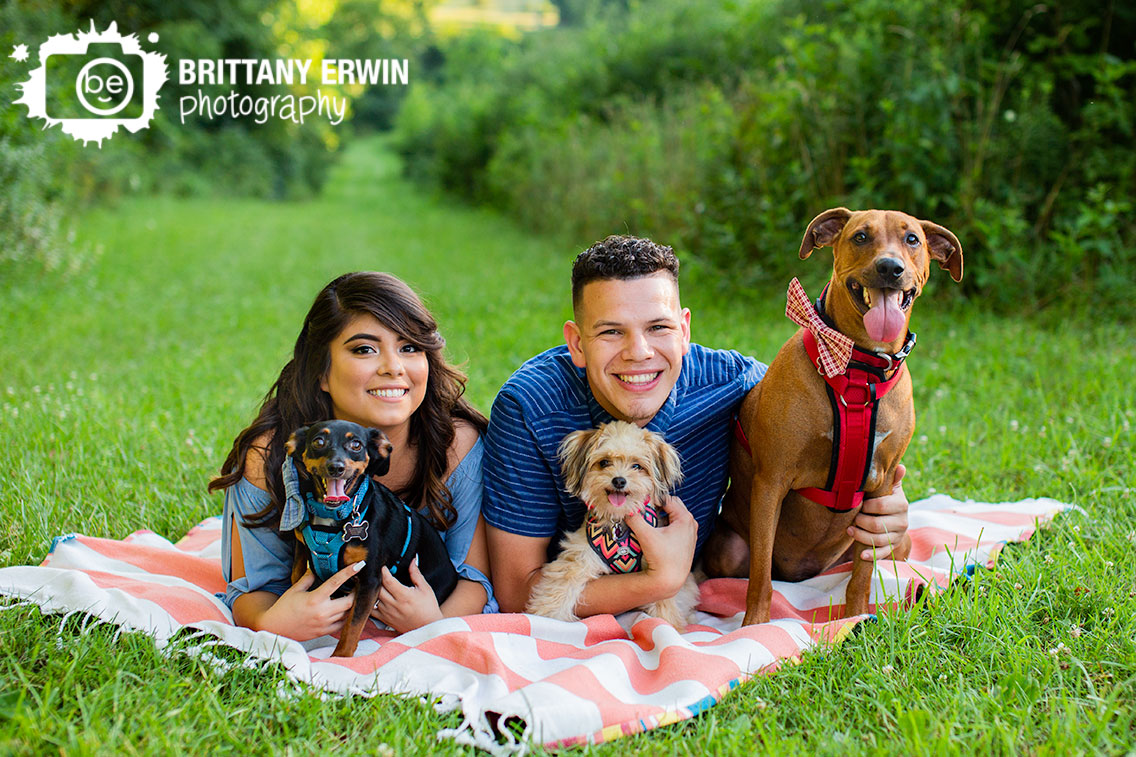 Pet-photographer-summer-picnic-blanket.jpg