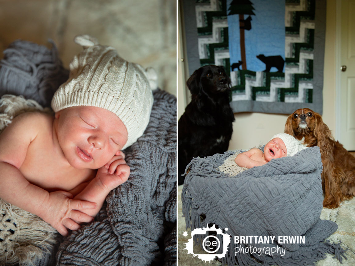Bear-ear-hat-newborn-baby-boy-dogs-sitting-by-sleeping-babe-lifestyle-photographer.jpg