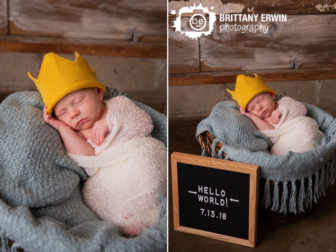 where-the-wild-things-are-crown-newborn-baby-boy.jpg