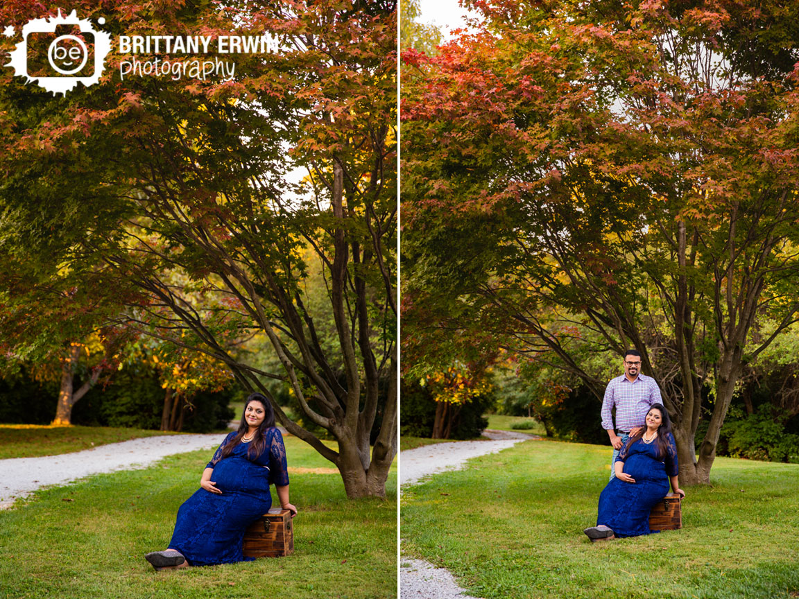 Camby-Indiana-japenese-maple-tree-fall-red-leaves-maternity-portrait-session-sitting-on-chest.jpg