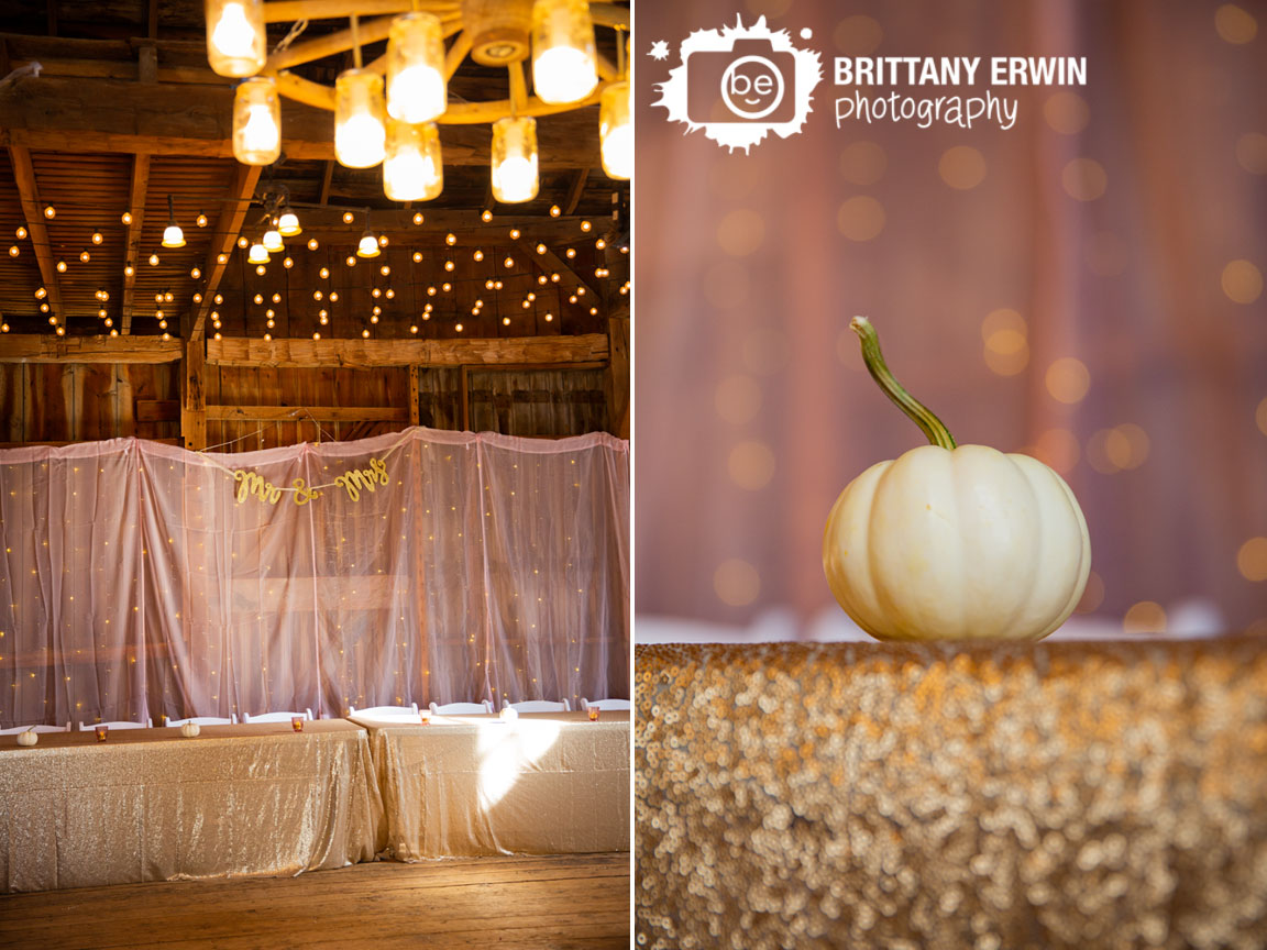 mr-mrs-pink-sheer-backdrop-barn-wedding-photographer-twinkle-lights.jpg