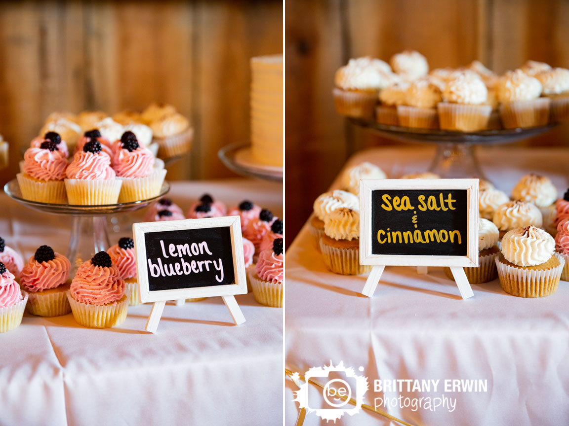 Sea-Salt-and-Cinnamon-bakers-wea-creek-orchard-wedding-barn-venue-photographer-cupcakes-dessert-table.jpg