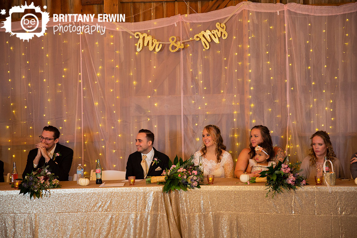 Lafayette-Indiana-wedding-photographer-pink-sheer-mr-mrs-background-head-table.jpg