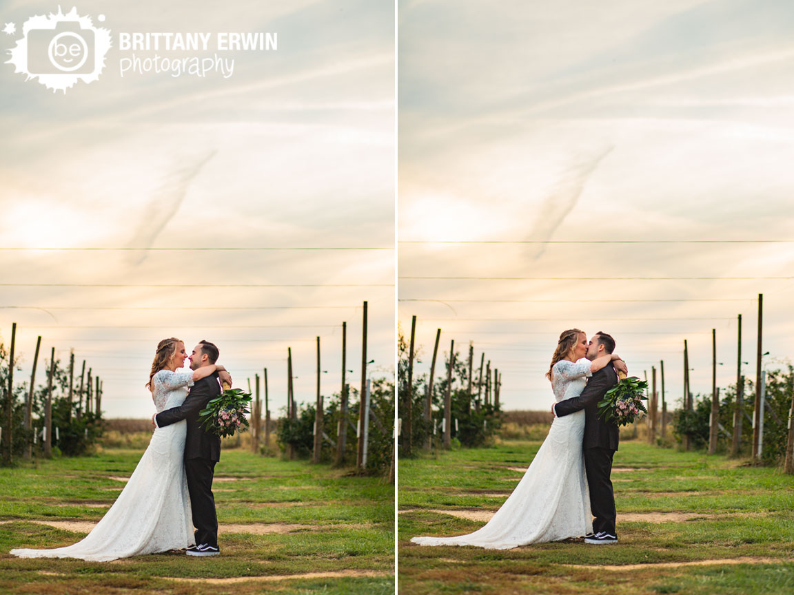 West-Lafayette-Indiana-wedding-photographer-Wea-Creek-Orchard-ceremony-reception-couple-in-apple-tree-field-at-sunset.jpg