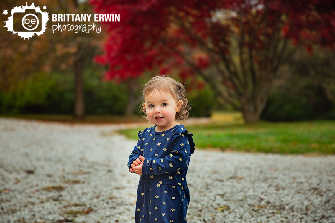 Indianapolis-fall-red-tree-portrait-photographer-toddler-girl-elephant-jumper.jpg
