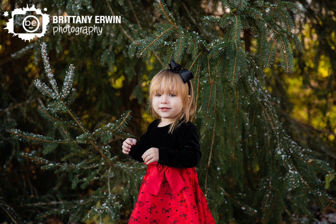 Indianapolis-mini-session-snow-toddler-christmas-dress.jpg