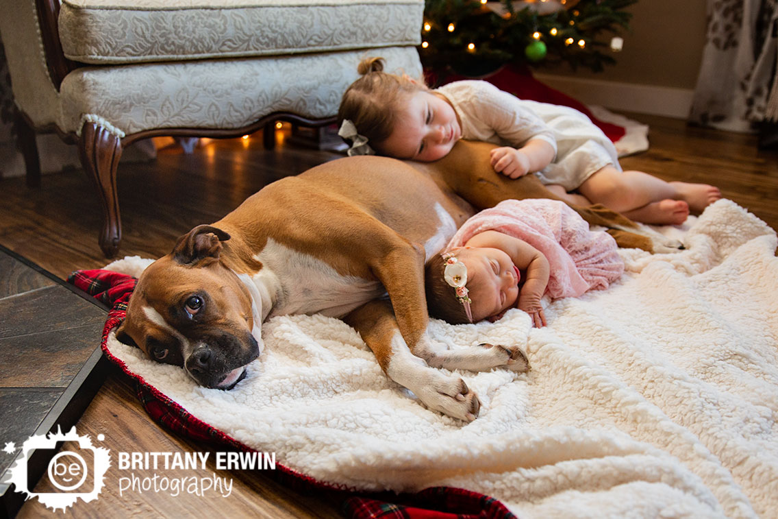 Indianapolis-newborn-pet-baby-girl-newborn-with-sister-and-dog.jpg