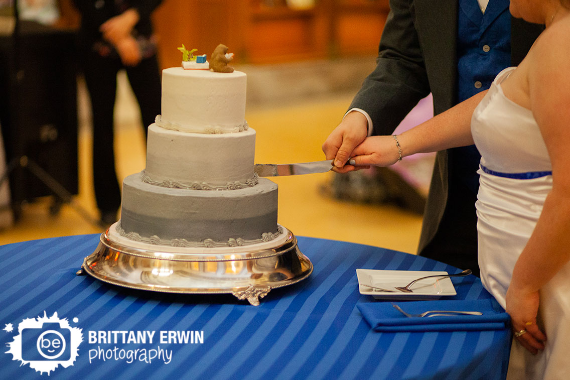 Indianapolis-central-library-wedding-photographer-cake-cutting-knife-grey-icing-with-dragon-reading-topper.jpg