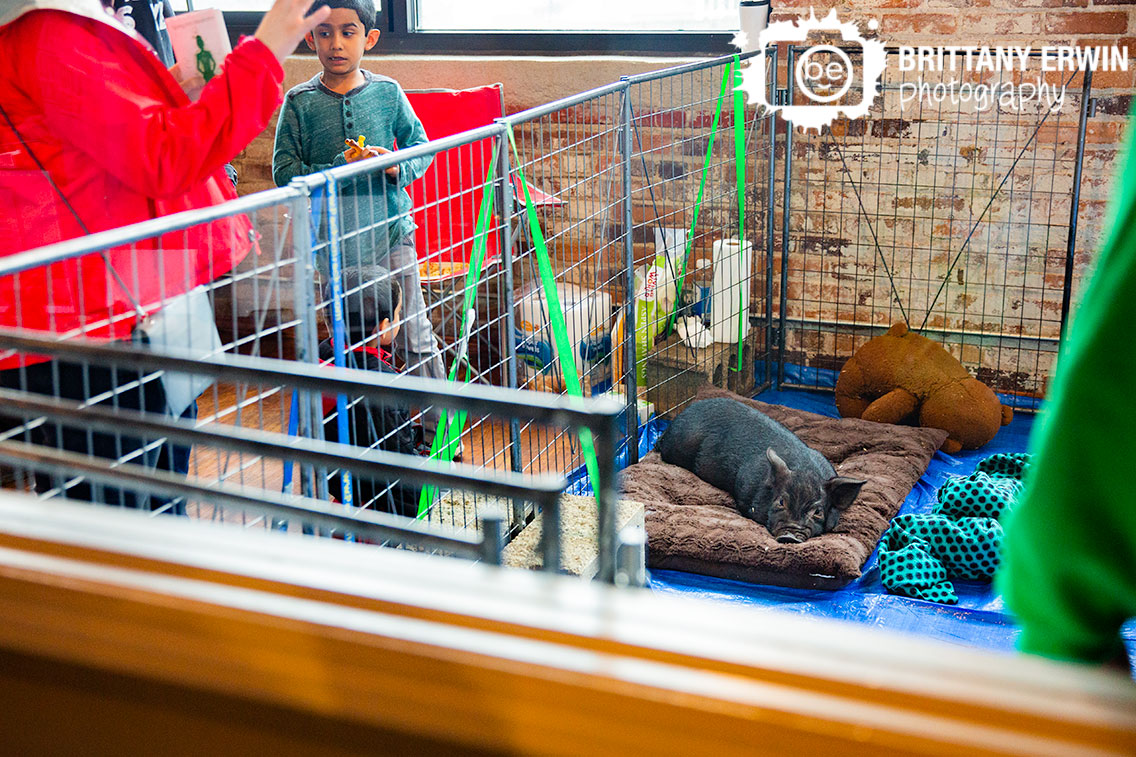 Indianapolis-event-photography-pig-sanctuary-Indy-VegFest.jpg