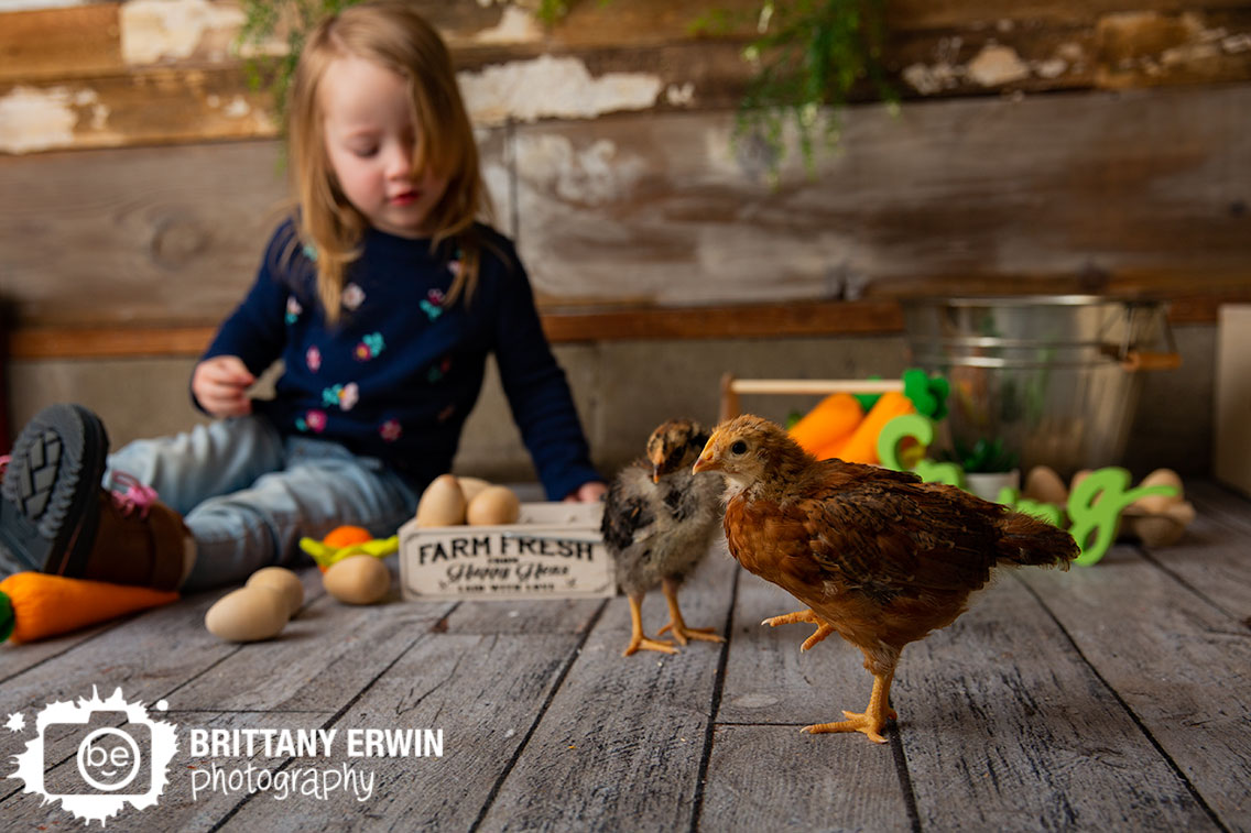 Indianapolis-portrait-photographer-baby-chicks-farm-fresh-eggs-crate-spring-mini-toddler.jpg