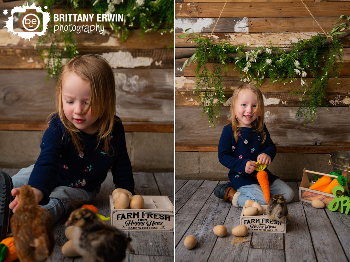 Indianapolis-studio-portrait-photographer-barn-wood-wall-baby-chicks-toddler-girl-feeding-chickens-spring.jpg