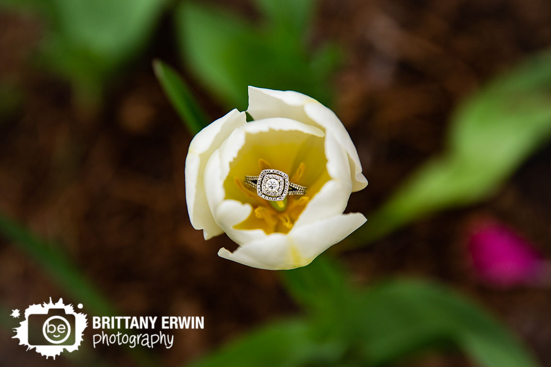 Indy-wedding-engagment-photographer-ring-detail-photo-tulip-with-diamond-band.jpg