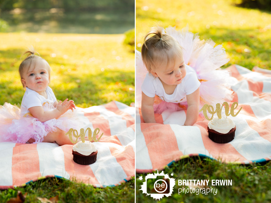 one-sparkle-cake-topper-first-birthday-cupcake-smash.jpg