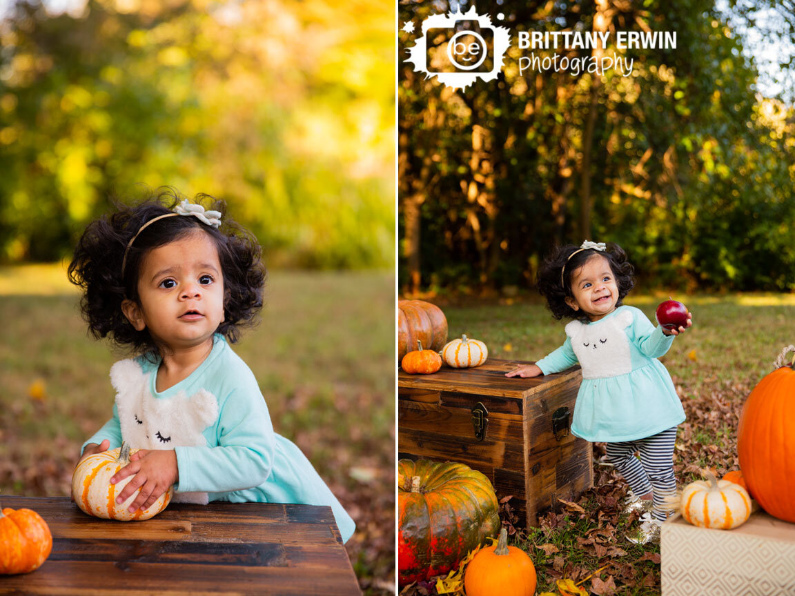 Fall-portrait-photographer-baby-girl-pumpkins-leaves.jpg