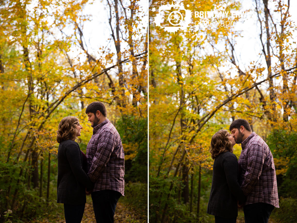 Fall-leaves-path-through-woods-engagement-portrait-photographer.jpg