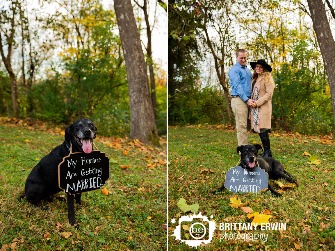 my-humans-are-getting-married-chalk-board-sign-engagement-session.jpg