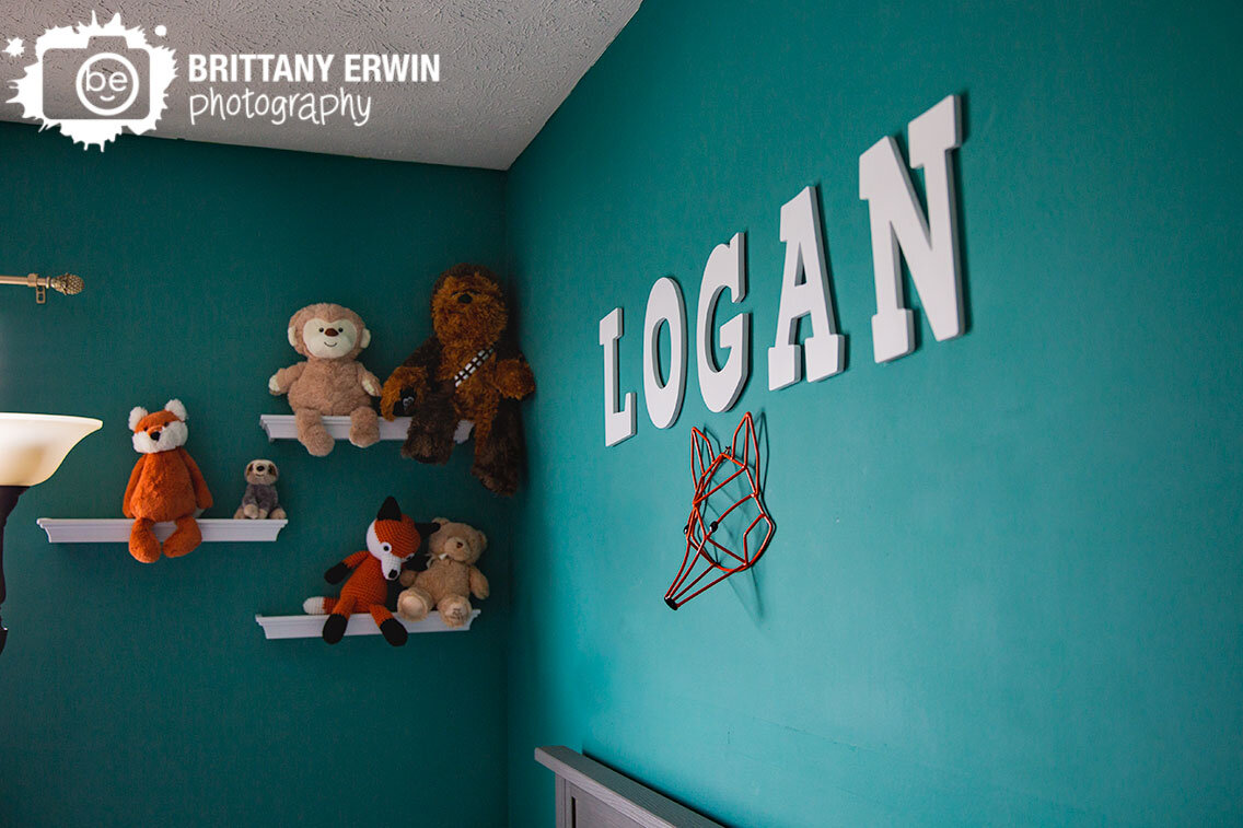 name-mounted-over-crib-nursery-stuffed-animals-on-shelves.jpg