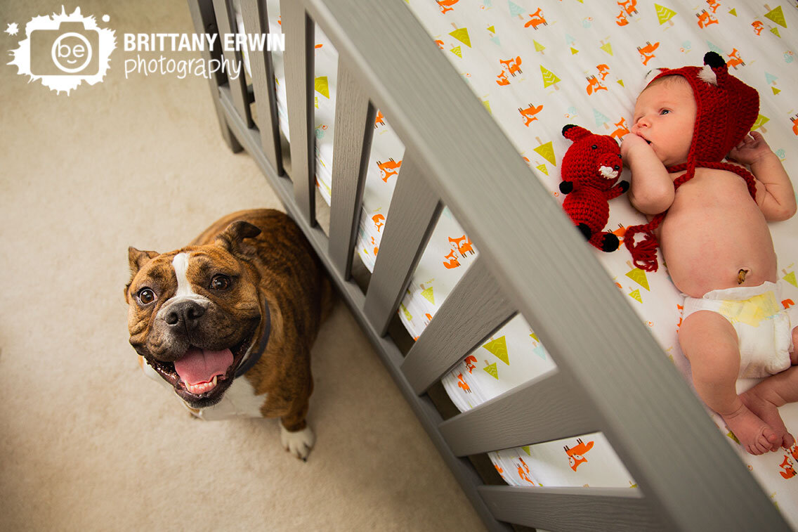lifestyle-newborn-photographer-pet-dog-next-to-crib.jpg
