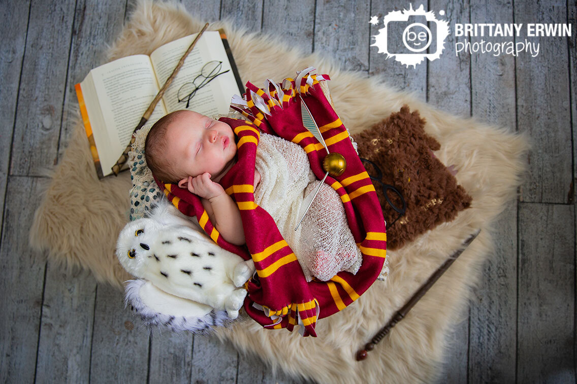 Harry-Potter-newborn-portrait-photographer-wand-book-hedwig-owl-sleeping-boy-griffindor-scarf.jpg
