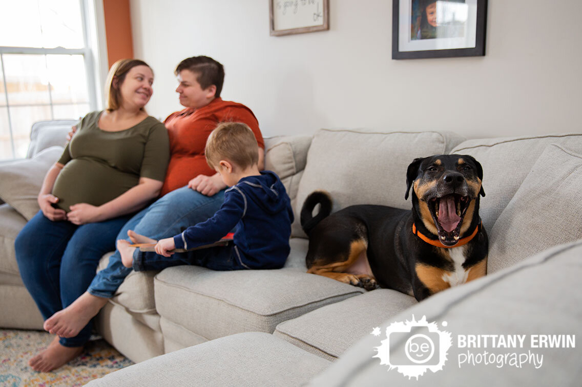 Indianapolis-maternity-lifestyle-portrait-photographer-in-home-pet-toddler-boy-with-moms.jpg