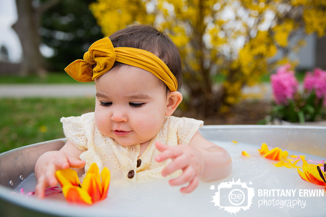 Indianapolis-portrait-photographer-milk-bath-flowers-tulip-baby-girl-first-birthday.jpg