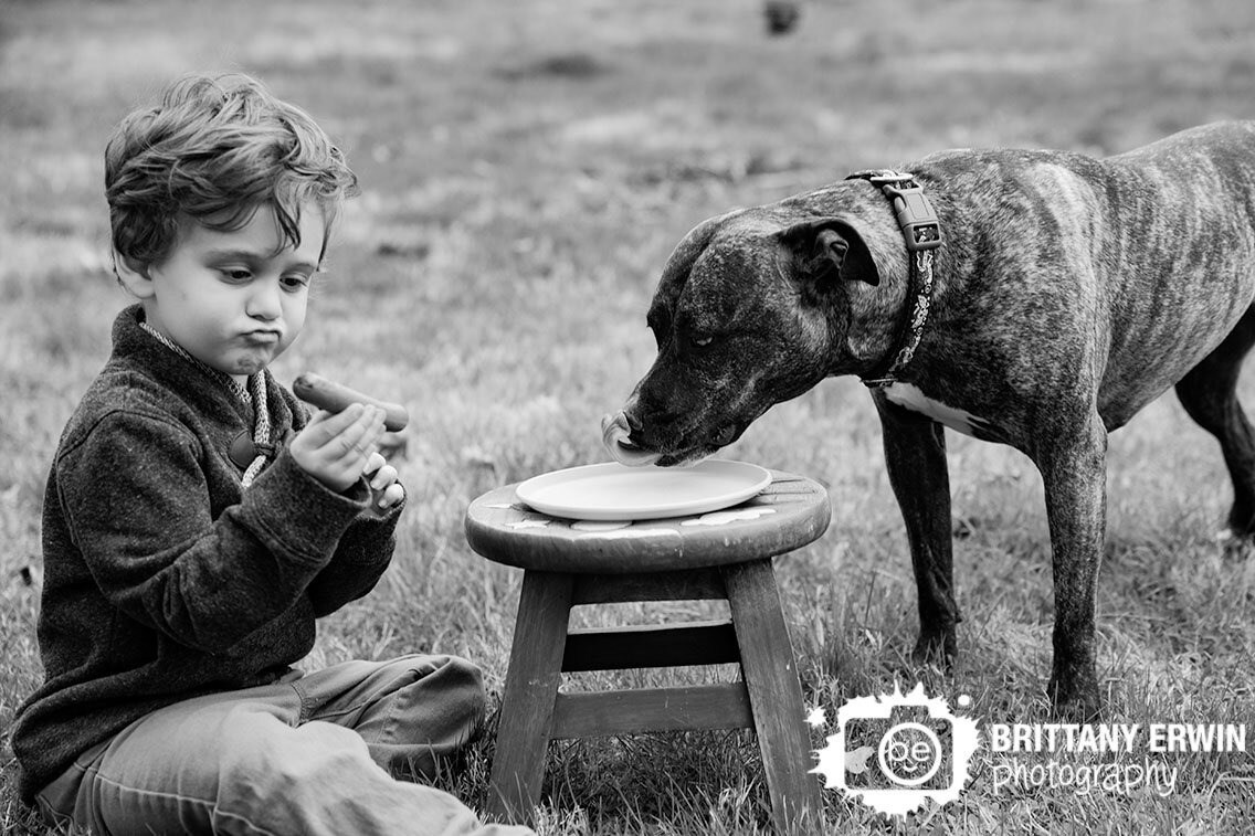 Indianapolis-portrait-photographer-boy-with-dog-hotdog-backyard.jpg