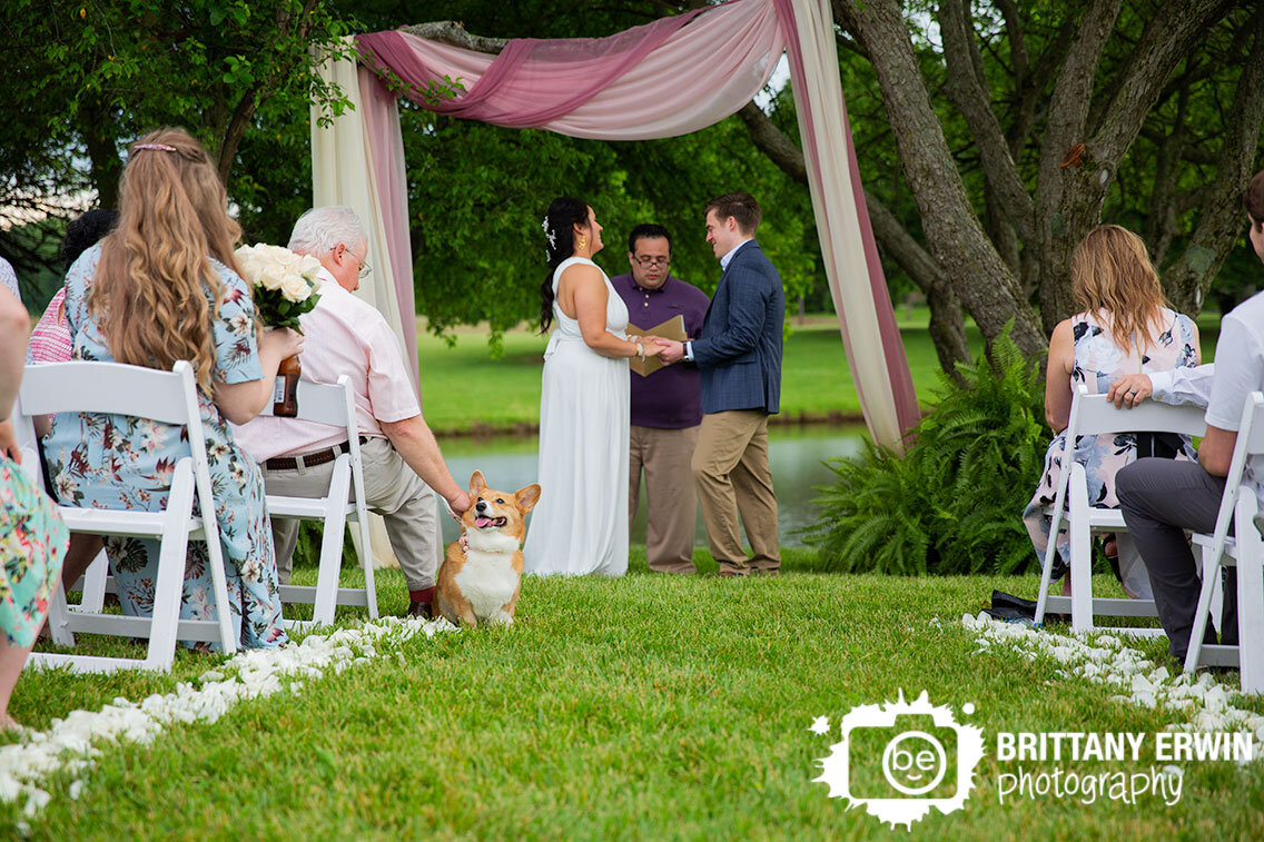 Shelbyville-Indiana-backyard-wedding-flower-petal-aisle-corgi-pet-dog.jpg