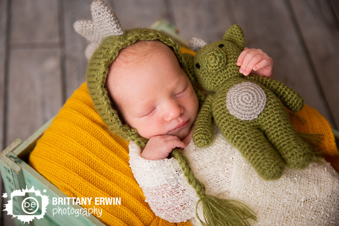 Indianapolis-newborn-studio-portrait-photographer-dinosaur-hat-dragon-stuffed-crochet.jpg