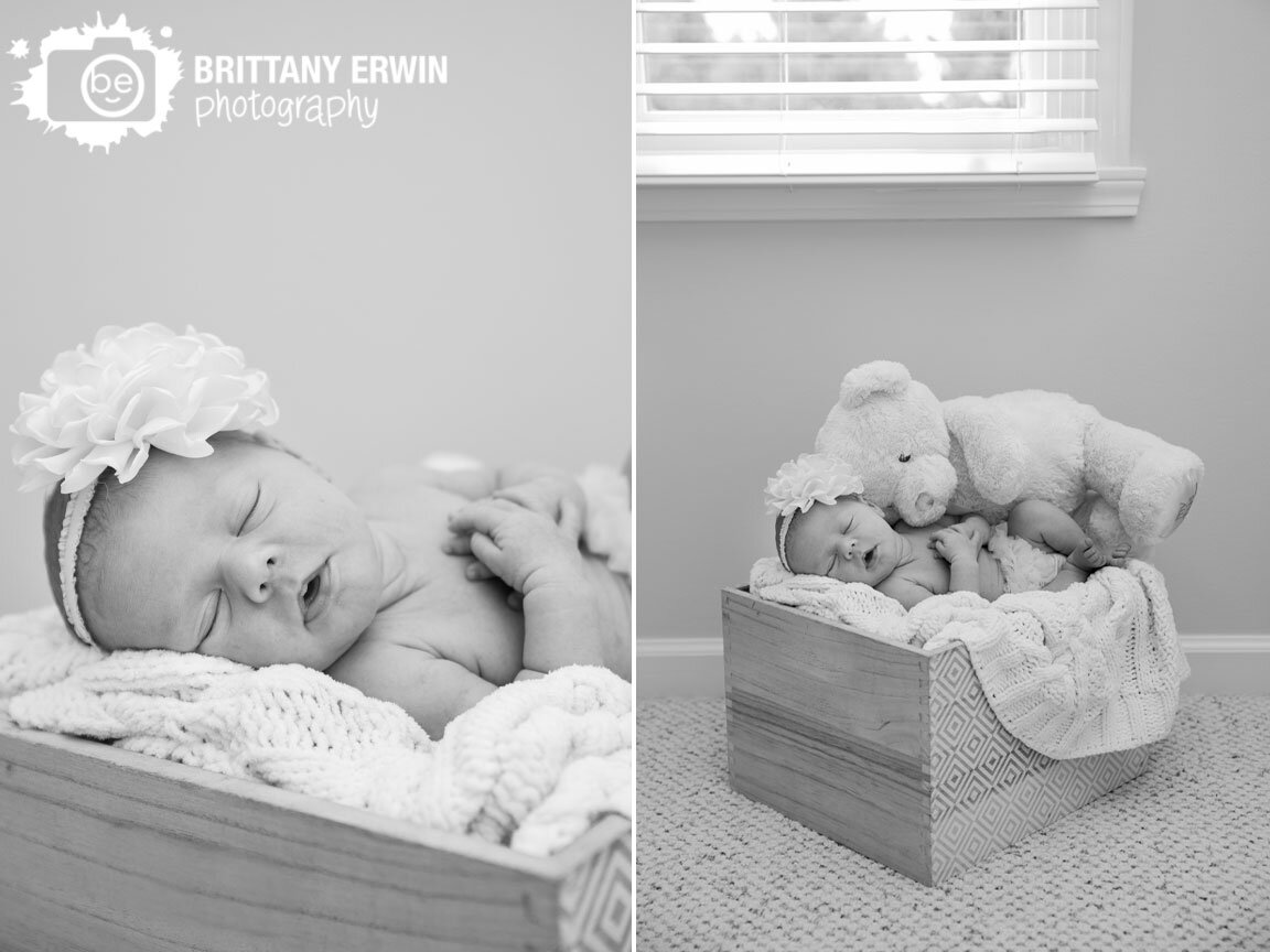 Indianapolis-newborn-portrait-photographer-baby-girl-asleep-in-box-with-cable-knit-blanket-and-stuffed-teddy-bear.jpg