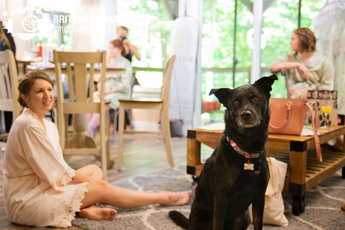 bride-sitting-with-pet-dog-3-fat-labs-wedding-photographer.jpg